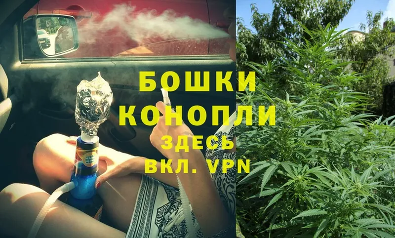 Конопля Bruce Banner  Краснознаменск 